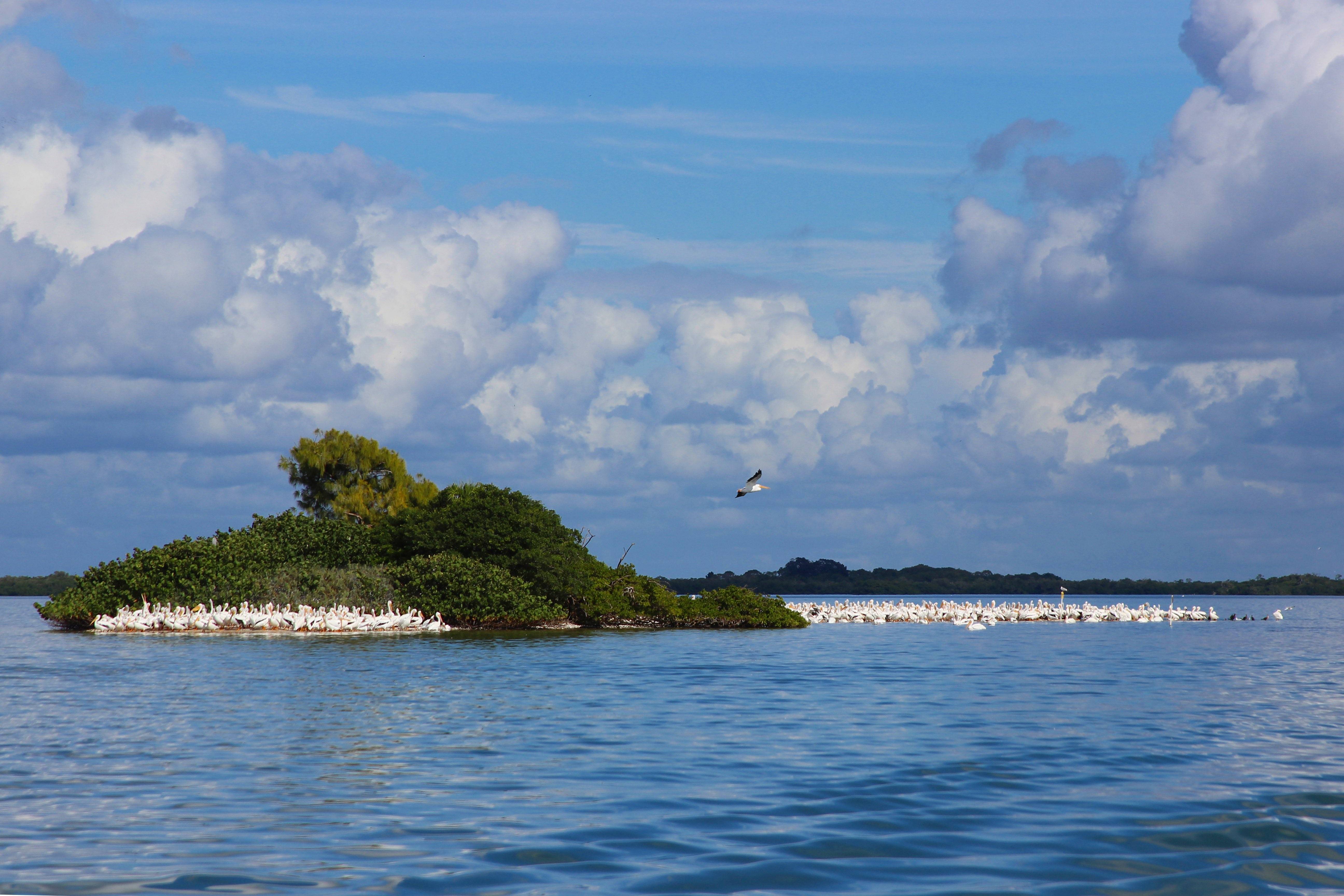  Guidebook Fortmyersandsanibel