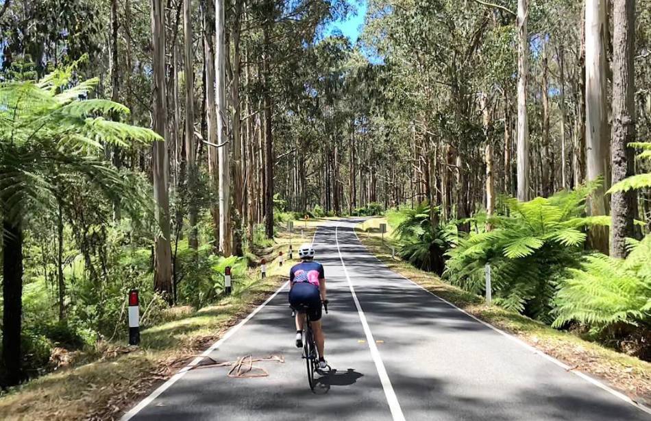 Biking and Cycling Routes Around Melbourne Guidebook Melbourne Guidebook Melbourne