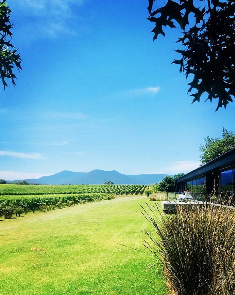 Contemporary Vineyard Food With Flair Guidebook Melbourne Guidebook